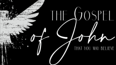 The Dead Man Came Out | John 11:28-44 Image