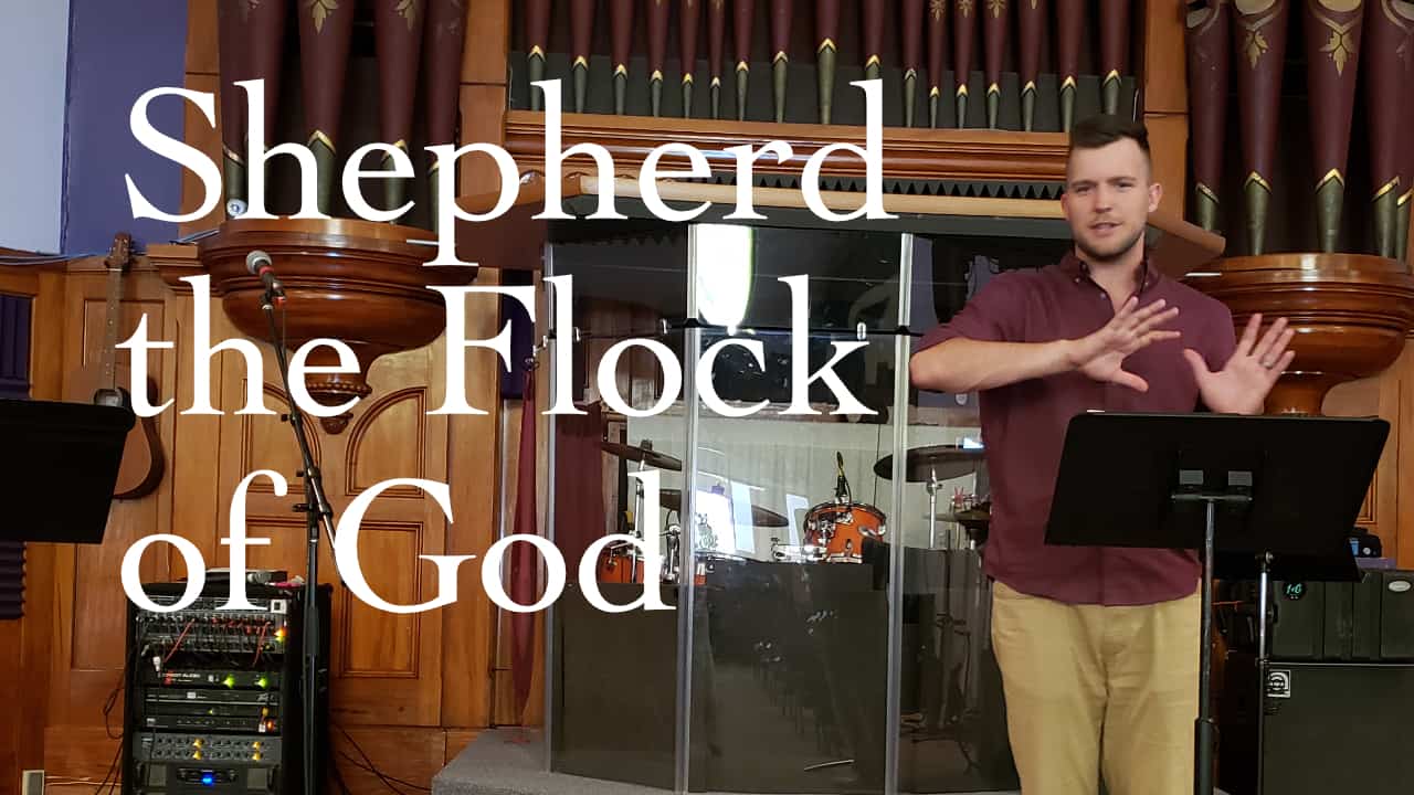 Shepherd the Flock of God (1 Peter 5:1-4)